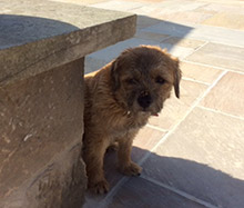 #